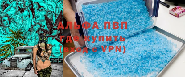 прущие грибы Баксан