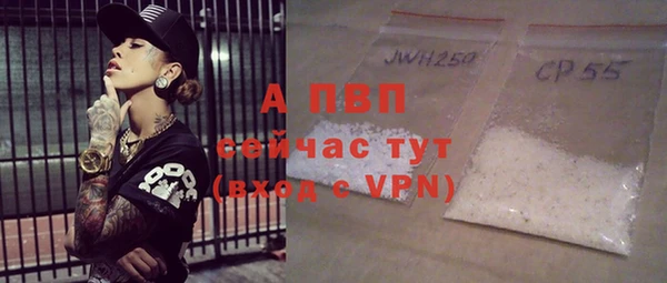 шишки Арсеньев