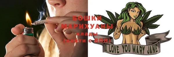 прущие грибы Баксан