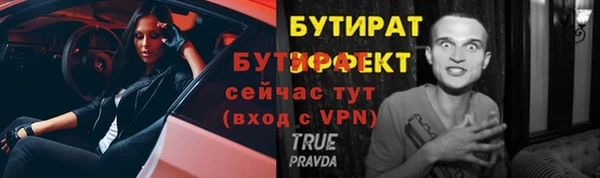прущие грибы Баксан