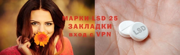 прущие грибы Баксан