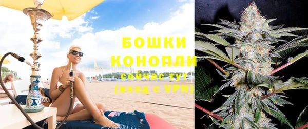 прущие грибы Баксан