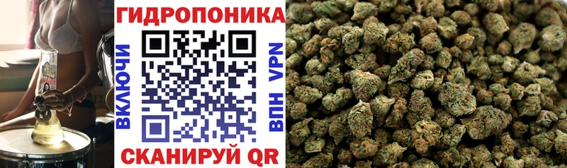 Марихуана ГИДРОПОН  купить закладку  Болохово 